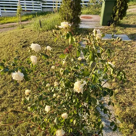 Apartamento Fruskogorska Idila