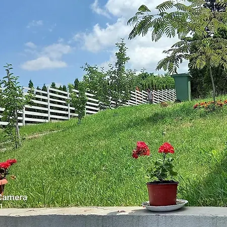 Apartment Fruskogorska Idila