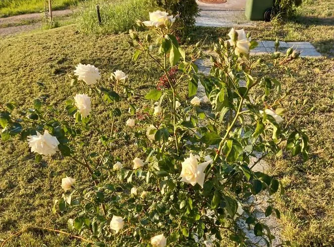 Apartment Fruskogorska Idila